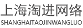上海淘进网络